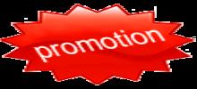 promotion_icon.gif